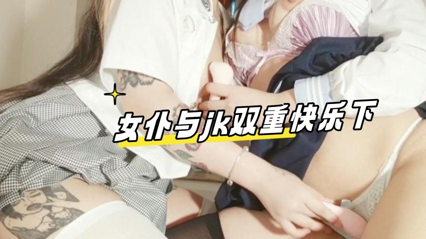 女仆与jk双重快乐下 小蔡头喵喵喵.